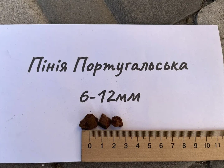 Кора пінії 6-12 мм португальська декоративна 50 л для мульчування і клумб - Фото 4 Кора пінії 6-12 мм португальська декоративна 50 л для мульчування і клумб - зображення 4