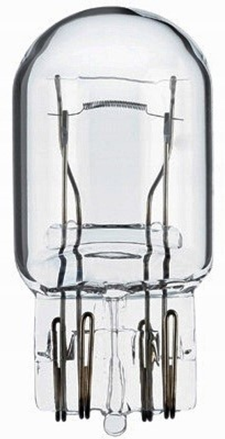 Zestaw żarówek samochodowych Hella Standard W21/5W 12 V 10 szt (8GD008893002) - obraz 2