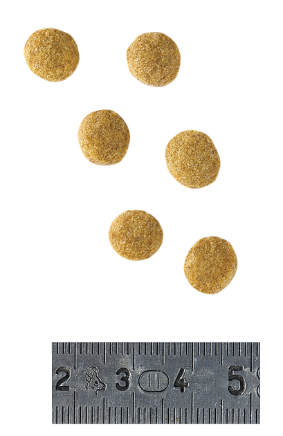 Корм для дорослих собак ROYAL CANIN Роял канін ANALLERGENIC SMALL DOG 3 кг. - Фото 4 Корм для дорослих собак ROYAL CANIN Роял канін ANALLERGENIC SMALL DOG 3 кг. - изображение 4