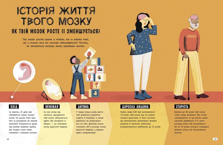 Ця книжка повна мізків: усілякі мізки та як вони працюють - Фото 6 Ця книжка повна мізків: усілякі мізки та як вони працюють - изображение 6