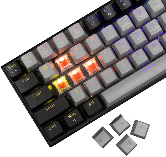 Klawiatura przewodowa White Shark Wakizashi 2 USB RGB Grey-Black (3858894506903) - obraz 3
