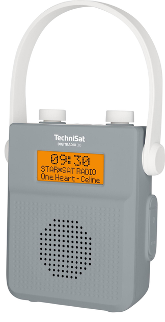 Радіо TechniSat DigiTradio 30 Grey (0000/3955) - зображення 3