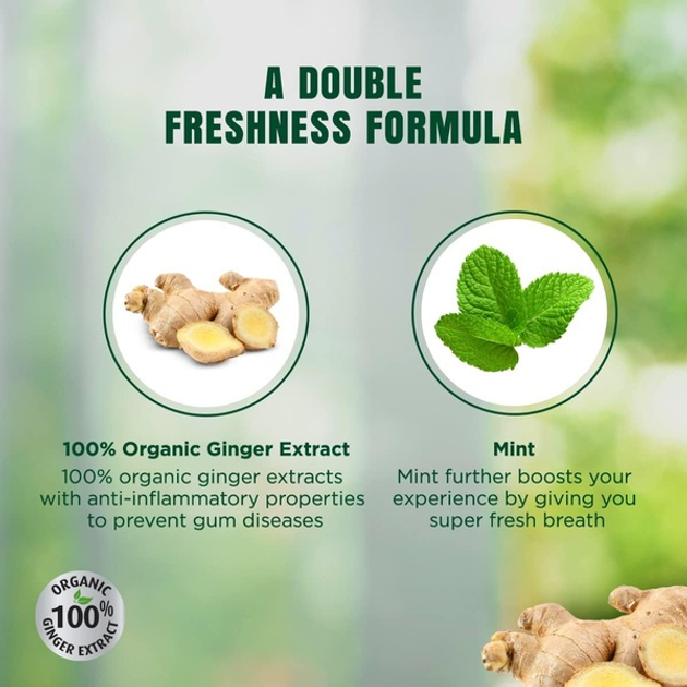 Зубна паста Dabur Herbal Healthy Gums + Fresh Breath з імбиром та м'ятою 100 мл (5022496019989) - зображення 3