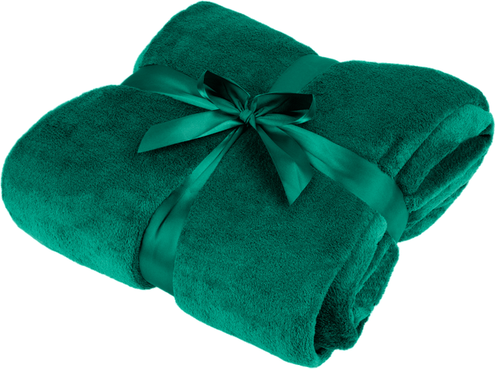 Koc Teesa polarowy zielony 200 x 220 cm (5901890070201) - obraz 1