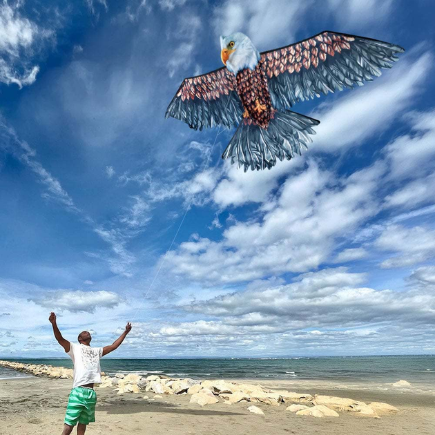 Latawiec Mikamax 3D Eagle Kite (8721154050087) - obraz 5