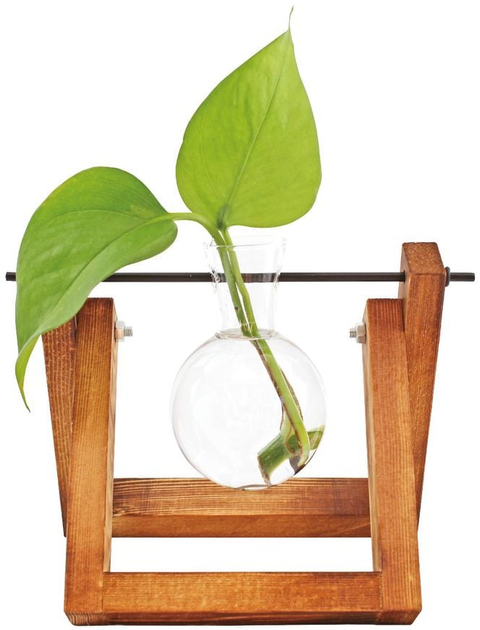 Wazon na kwiaty Winkee Hydro Vases (4260348479807) - obraz 1