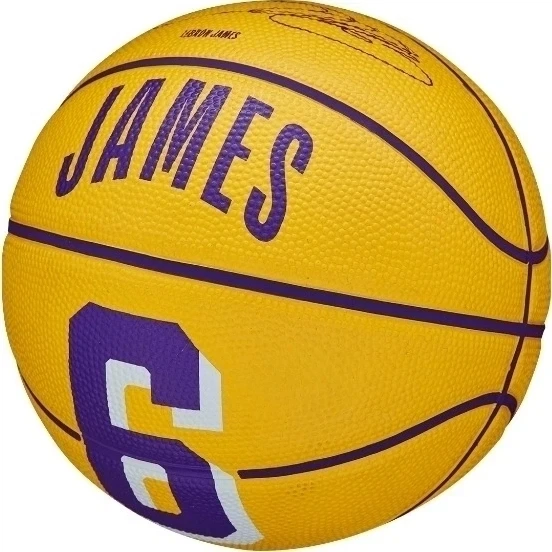 Баскетбольный мяч Wilson NBA PLAYER ICON MINI LEBRON JAMES желто-фиолетовый WZ4007201XB3 Размер EU: 3 - изображение 3