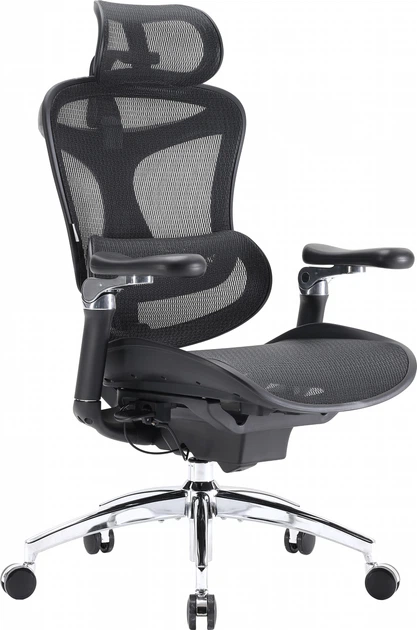 Крісло офісне SIHOO DORO C300 Pro Mesh Black (DORO-C300-PRO-M101) - зображення 5