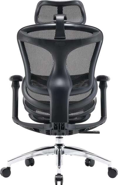 Fotel biurowy SIHOO DORO C300L Mesh Black (DORO-C300L-A3-101) - obraz 2