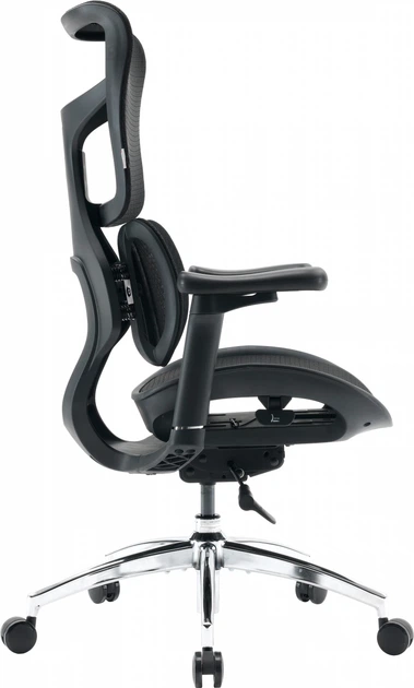 Fotel biurowy SIHOO DORO S100 Mesh Black (S100-M301) - obraz 3