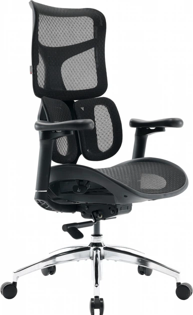 Fotel biurowy SIHOO DORO S100 Mesh Black (S100-M301) - obraz 6