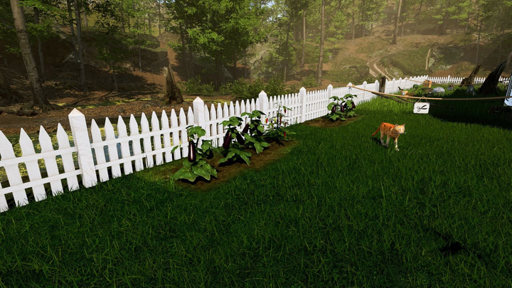 Gra PS4 Garden Simulator (Blu-ray płyta) (3700664530871) - obraz 3