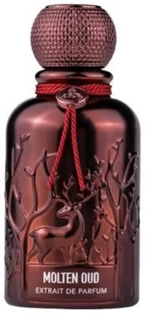 Perfumy unisex Auraa Desire Molten Oud 100 ml (6290360832128) - obraz 1