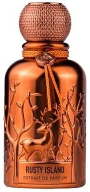 Perfumy unisex Auraa Desire Rusty Island 100 ml (6290360832111) - obraz 1