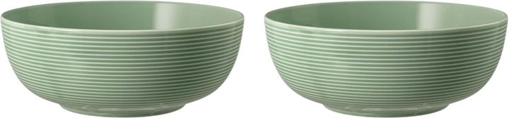Набір мисок Seltmann Weiden Beat Color Glaze зелений 20 см 2 шт (ZES4052212109442) - зображення 1