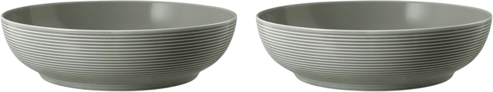 Набір мисок Seltmann Weiden Beat Color Glaze сірий 25 см 2 шт (ZES4052212109428) - зображення 1