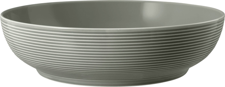 Набір мисок Seltmann Weiden Beat Color Glaze сірий 25 см 2 шт (ZES4052212109428) - зображення 2