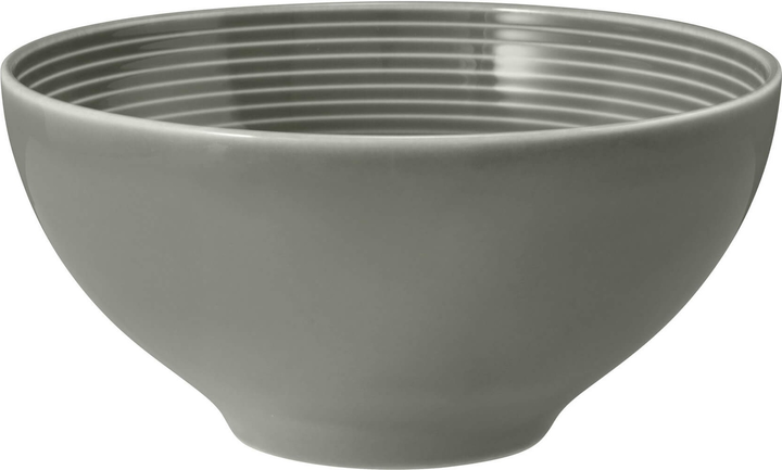 Набір мисок Seltmann Weiden Beat Color Glaze круглих сірий 15.5 см 2 шт (ZES4052212090320) - зображення 2