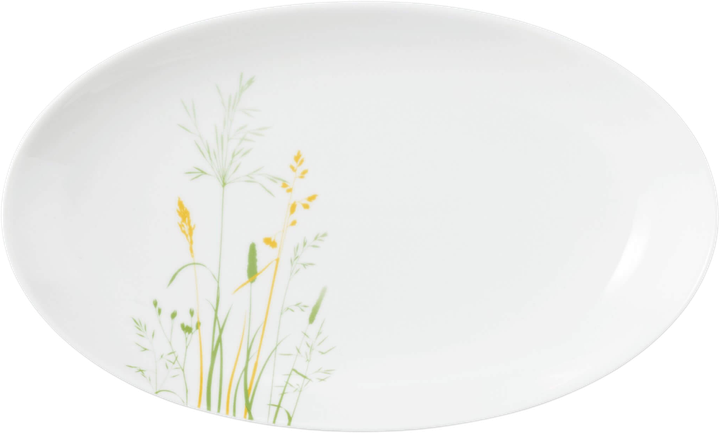Półmisek Seltmann Weiden Meadow Grasses Green owalny 24 x 14.5 cm (4052212127514) - obraz 1