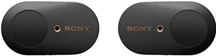 Słuchawki Sony WF-1000XM3 Black (WF1000XM3B.E) - obraz 1