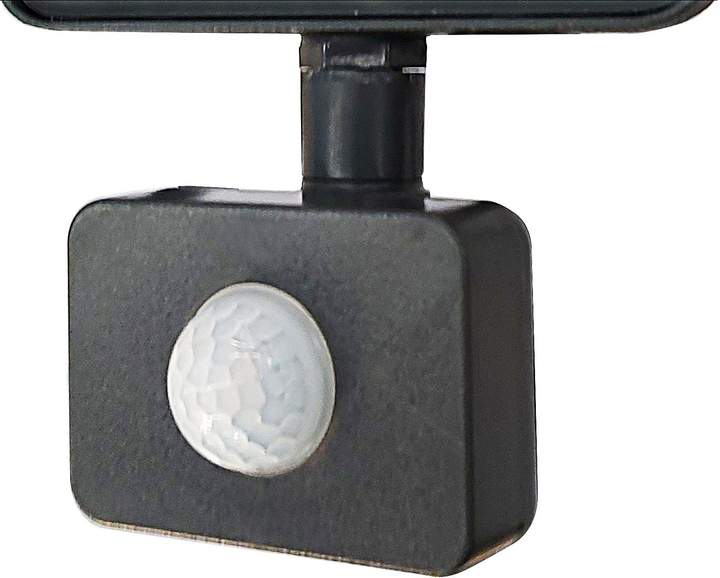 Reflektor Standart FLOODL LED E024EIS 30 W - obraz 2