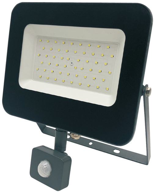 Reflektor Standart FLOODL LED E024EIS 50 W - obraz 1