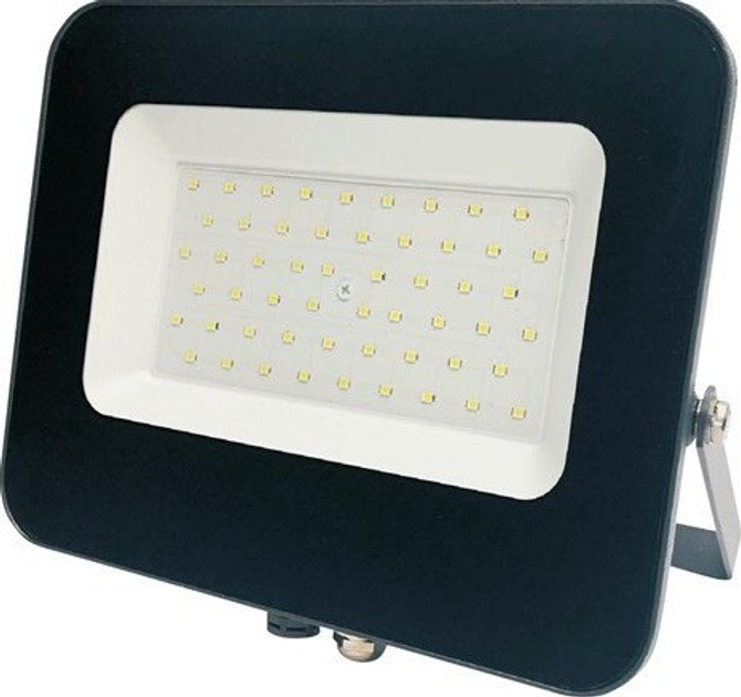 Reflektor Standart FLOODLI LED E024EI 50W - obraz 1