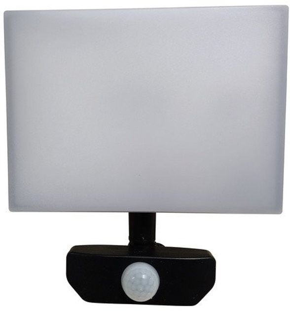 Прожектор Standart FLOODLIHGT LED 30 W (PE09-30WS) - зображення 1