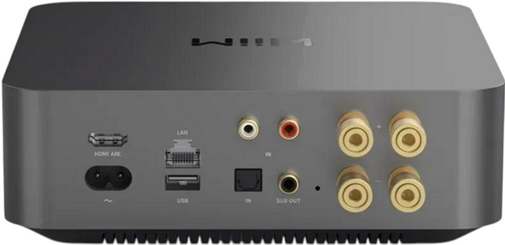 Музичний стример WiiM Amp Pro with Amplifier Space Gray (WIIMAMPPRO) - зображення 3