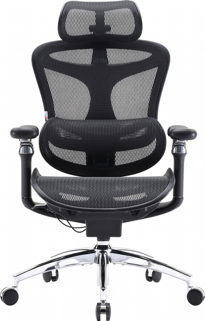 Крісло офісне SIHOO DORO C300 Pro Mesh Black (DORO-C300-PRO-M101) - зображення 1