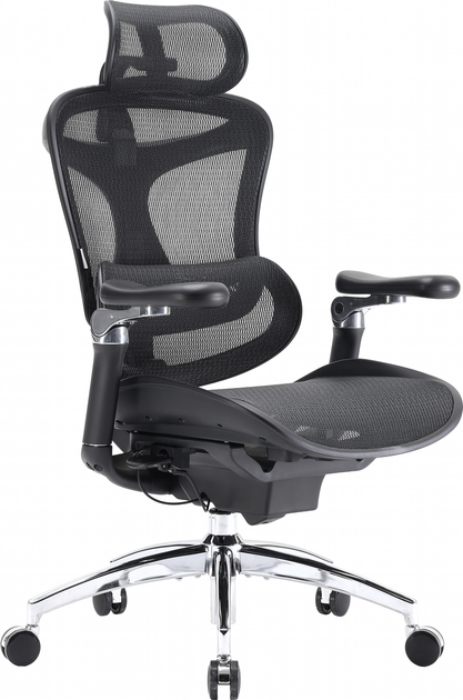 Крісло офісне SIHOO DORO C300 Pro Mesh Black (DORO-C300-PRO-M101) - зображення 5