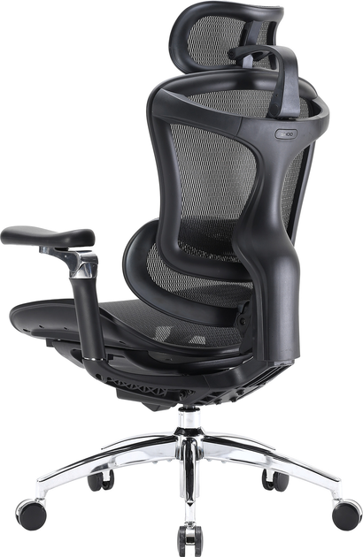 Крісло офісне SIHOO DORO C300 Pro Mesh Black (DORO-C300-PRO-M101) - зображення 7