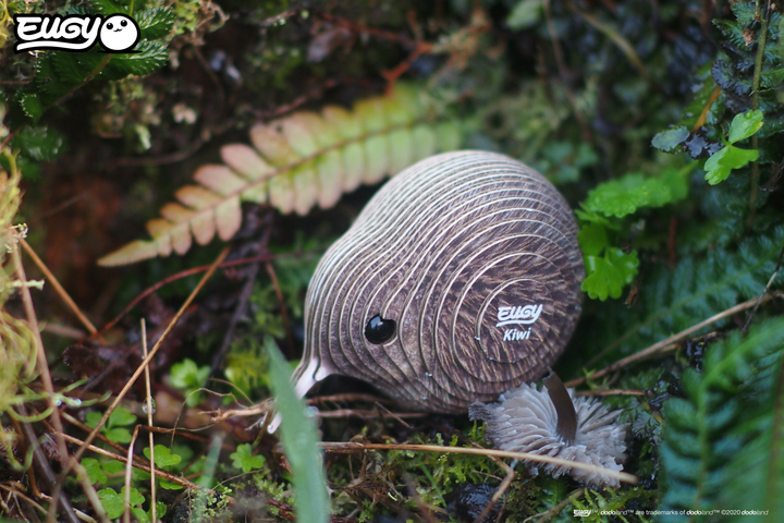 Model 3D do składania Eugy Zoo Kiwi (9421035150002) - obraz 5