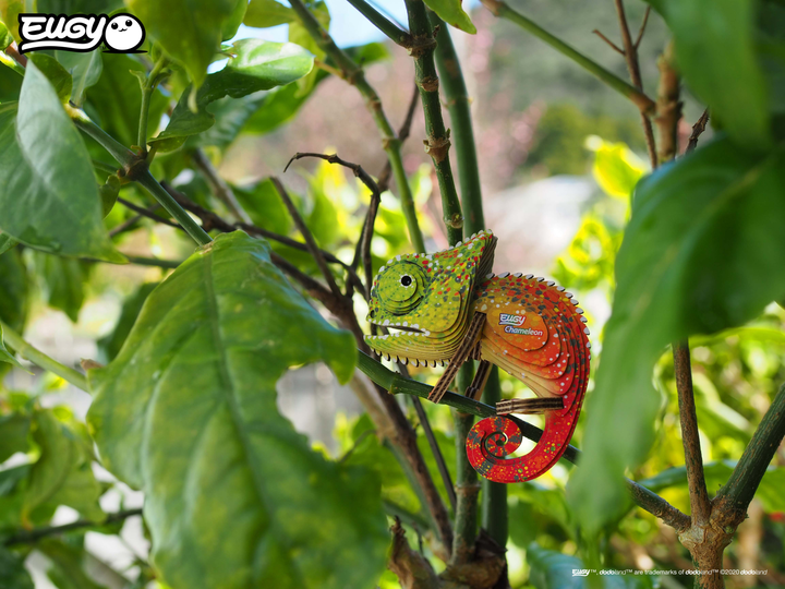 Model 3D do składania Eugy Zoo Kameleon (9421035150743) - obraz 8