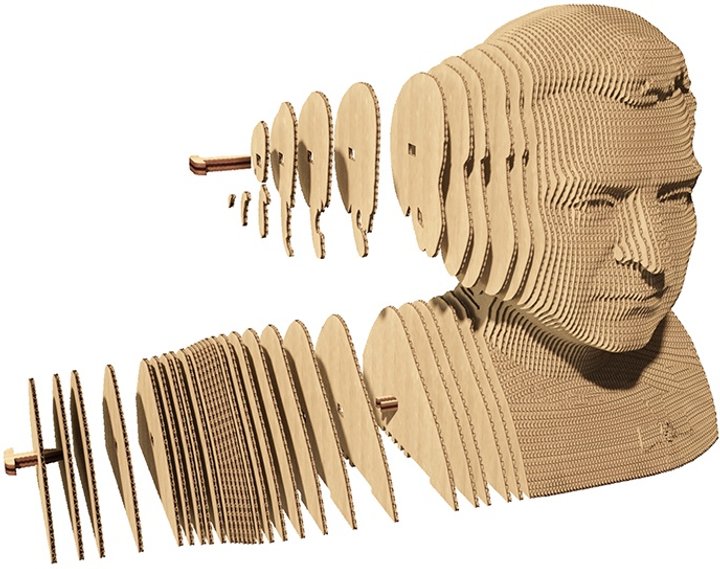 3D пазл-конструктор Cartonic 3D Puzzle Zel Зеленський Картонний (4820191132559) - зображення 3
