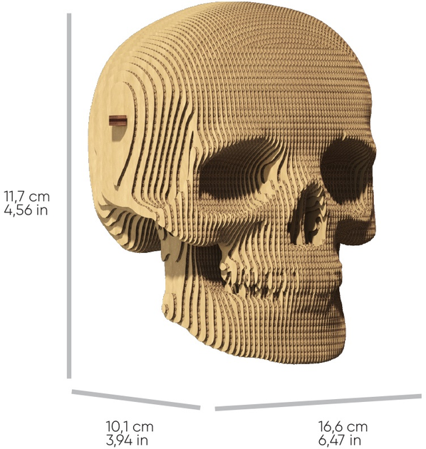 3D пазл-конструктор Cartonic 3D Puzzle Skull Картонний (4820191132948) - зображення 5