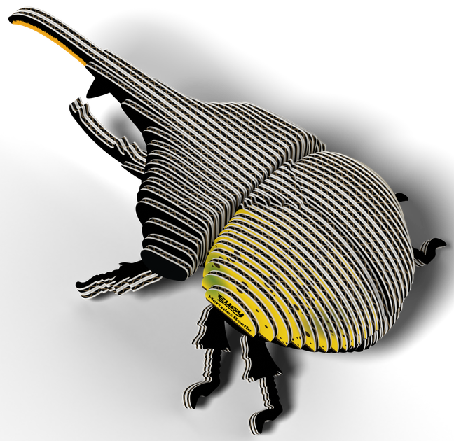 Model 3D do składania Eugy Zoo Żuk herkules (9421036940336) - obraz 4