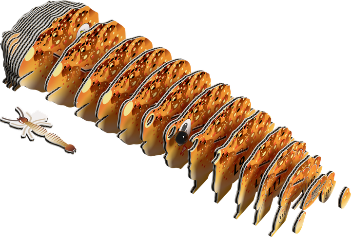 Model 3D do składania Eugy Zoo Żaba pustynna lopatonoga (9421036940381) - obraz 2