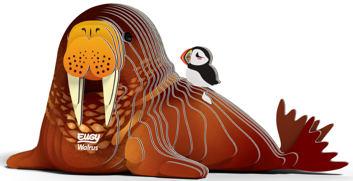 Збірна 3Д модель Eugy Зоопарк Морж (9421036940282) - зображення 5