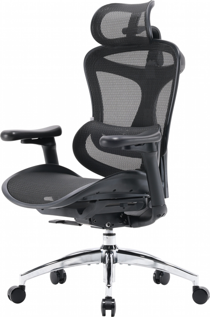 Крісло офісне SIHOO DORO C300L Mesh Black (DORO-C300L-A3-101) - зображення 4
