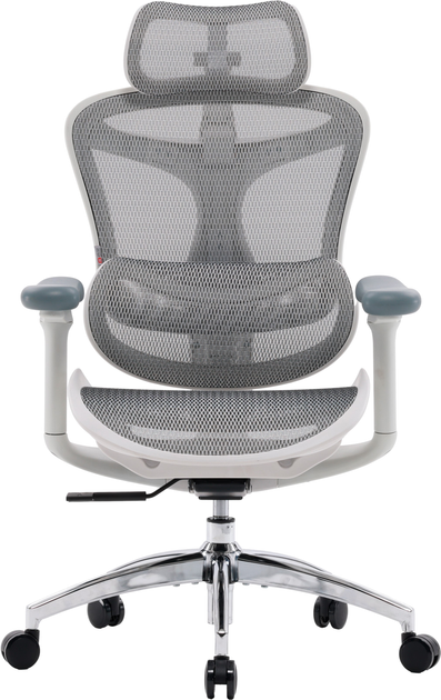 Fotel biurowy SIHOO DORO C300L Mesh White (DORO-C300L-A3-102) - obraz 1
