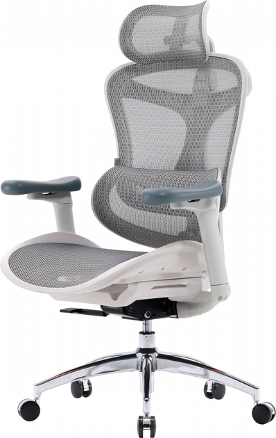 Fotel biurowy SIHOO DORO C300L Mesh White (DORO-C300L-A3-102) - obraz 4