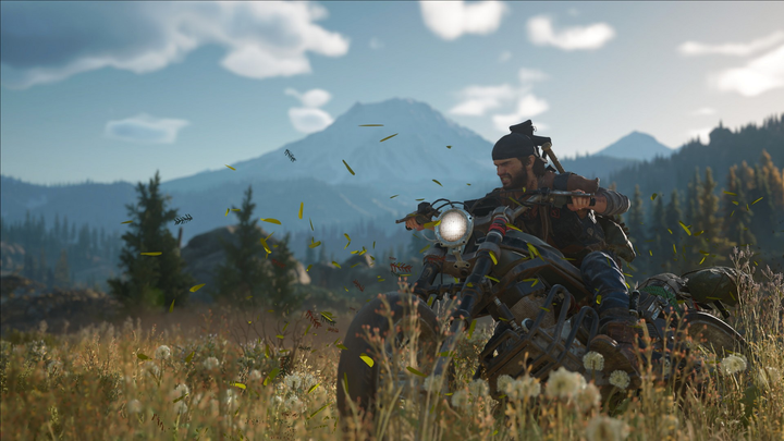 Gra PS4 Days Gone (Blu-ray) (711719795414) - obraz 4