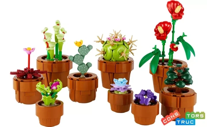Конструктор Лего Иконс Миниатюрные Растение Lego Icons Mini Plants 10329 - изображение 4