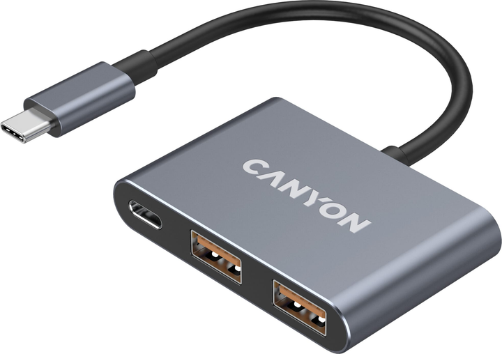 USB-hub Canyon DS-3 3in1 USB-C Dark Grey (CNS-TDS3) - obraz 1