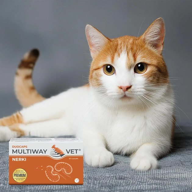 Харчова добавка JM Sante Pharma MultiWay Vet Duocaps для підтримки нирок у собак і котів 60 капсул (5902596718756) - зображення 3