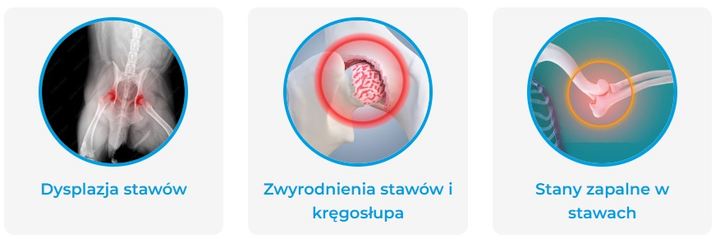 Suplement diety Game Dog AniFlexi HA w przypadku chorób zwyrodnieniowych stawów i kręgosłupa u psów 80 tabletek (5904730806084) - obraz 3