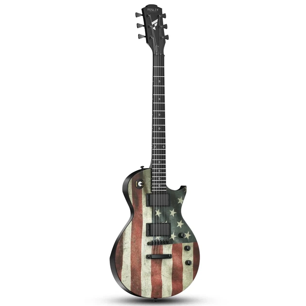 Электрогитара Fesley FLP400 USA (комплект) - изображение 2
