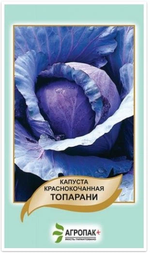 Семена капусты краснокочанной Топарани Legutko Агропак 0,5 г - Фото 2 Семена капусты краснокочанной Топарани Legutko Агропак 0,5 г - изображение 2