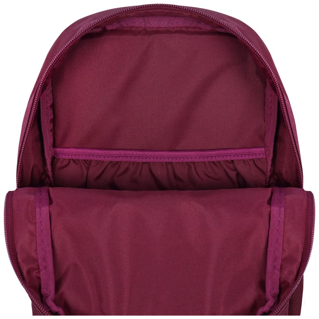 Рюкзак Bagland Молодежный mini 8 л. вишня (0050866) - Фото 4 Рюкзак Bagland Молодежный mini 8 л. вишня (0050866) - изображение 4